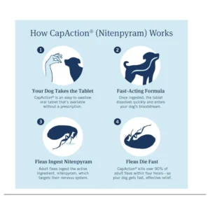 PETARMOR CAPACTION Tratamiento Oral de Acción Rápida contra Pulgas para Perros Pequeños