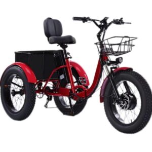 Bicicleta de 3 Ruedas Electrica EASINGO 700W