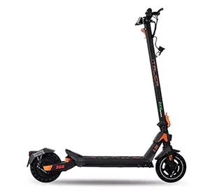 Scooter Patinete Eléctrico E-ON 350 W