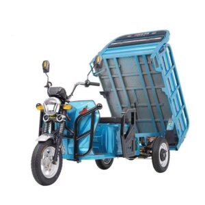 Triciclo de carga electrico 1000W - 60V/58A