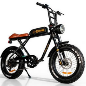 Bicicleta Eléctrica E-EXCURSION 500W