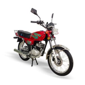 Moto de Combustión AX 100 MZ PRODUCTS