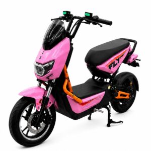 Bicimoto Fly Racing 2000W